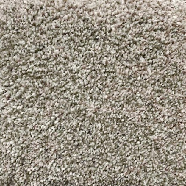 (image for) Next Floor Cashmere 12' Wide Ultrasoft Broadloom Carpet - Koala NF205005