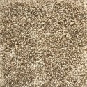 (image for) Next Floor Pashmina 12' Wide Ultrasoft Broadloom Soluton Dyed PET Carpet - Koala NF217005