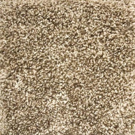 (image for) Next Floor Pashmina 12' Wide Ultrasoft Broadloom Soluton Dyed PET Carpet - Alpaca NF217006