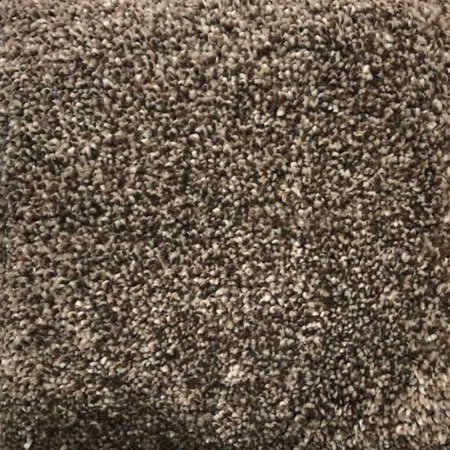 (image for) Next Floor Cashmere 12' Wide Ultrasoft Broadloom Carpet - Grizzly NF205009