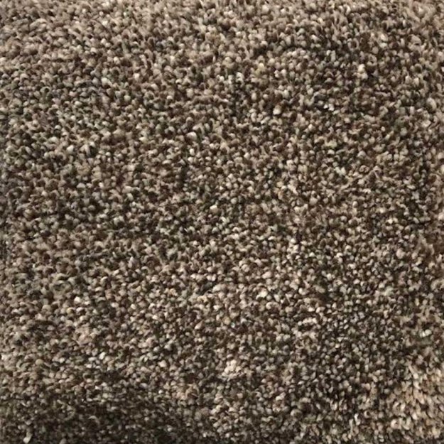 (image for) Next Floor Pashmina 12' Wide Ultrasoft Broadloom Soluton Dyed PET Carpet - Grizzly NF217009