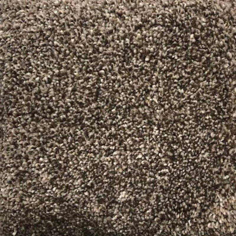 Next Floor Cashmere 12\' Wide Ultrasoft Broadloom Carpet - Grizzly NF205009