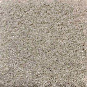 Next Floor Cashmere 12' Wide Ultrasoft Broadloom Carpet - Merino NF205010