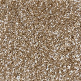 Next Floor Stratus 12' Wide Ultrasoft Broadloom Carpet - Bisque NF220029