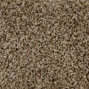 (image for) Next Floor Cirrus 12' Wide Ultrasoft Broadloom Carpet - Fawn NF219032