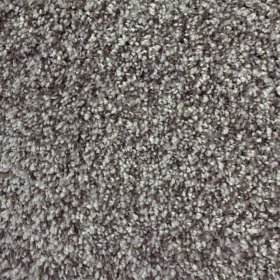 Next Floor Cirrus 12' Wide Ultrasoft Broadloom Carpet - Koala NF219096