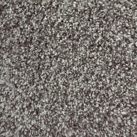 (image for) Next Floor Cirrus 12' Wide Ultrasoft Broadloom Carpet - Koala NF219096