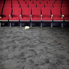 Next Floor Quarry 19.7" x 19.7" Solution-Dyed Nylon Carpet Tiles - Nickel NF726002