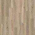 (image for) Nuvelle Density Ocean View 7 x 48 SPC Luxury Vinyl Plank - Destin DENVW20-11