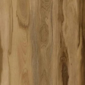 Nuvelle Paradiso Collection 8.98" x 60" WPC Waterproof Luxury Vinyl Plank - Barbados PD205