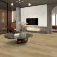 (image for) Nuvelle Paradiso Collection 8.98" x 60" WPC Waterproof Luxury Vinyl Plank - Bora Bora PD202