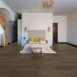 (image for) Primo Wood Plus 9-3/8" x 60" Waterproof Laminate Plank - Oakmont PWP61042