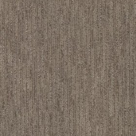 SFI Occupation - 4108 Doctor