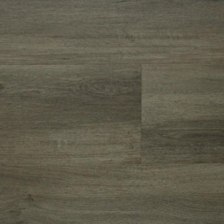 (image for) Chesapeake Essentials Plus SPC 7.01" x 48.62" Luxury Vinyl Plank - Park City CW1351