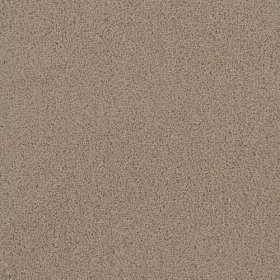 SFI Friends - 4451 Rachel II