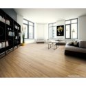 (image for) Chesapeake Flooring ProSolutions 12 7" x 48" Luxury Vinyl Plank DB - Rainfall PS8918