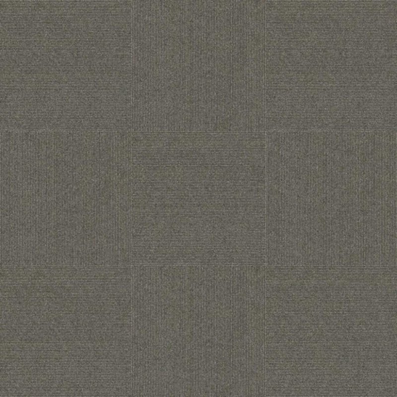 Next Floor Pinstripe 19.7\" x 19.7\" Solution-Dyed Twisted Polypropylene Carpet Tiles - Sequoia NF877002