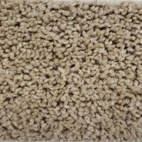 Friends 12 Ft. Solution Dyed Polyester 20 Oz. Carpet - Monica 3891