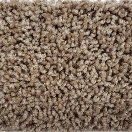 Friends 12 Ft. Solution Dyed Polyester 20 Oz. Carpet - Chandler 3892