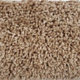 Friends 12 Ft. Solution Dyed Polyester 20 Oz. Carpet - Phoebe 3893