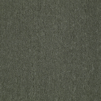 Windows II 15 Ft. Solution Dyed Olefin 20 Oz. Commercial Carpet- Evergreen