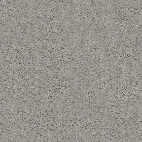 SFI Breakfast - 4495 Chicken & Waffles