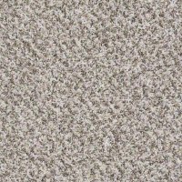 Records 12 Ft. 100% BCF P.E.T. Polyester 25 Oz. Carpet - White Album