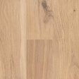(image for) Next Floor Signal Hill 6-1/2" x 71" RL Engineered Hardwood - Tan Oak NF632006