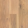 (image for) Next Floor Signal Hill 6-1/2" x 71" RL Engineered Hardwood - Tawny Oak NF632007