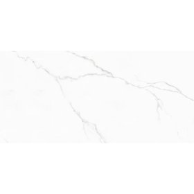 Maxxi Floors 24 x 48 Rectified Porcelain Polished Tile - Snowy Carrara