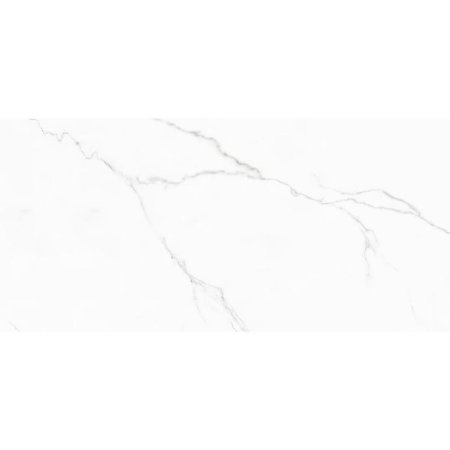 (image for) Maxxi Floors 24 x 48 Rectified Porcelain Polished Tile - Snowy Carrara