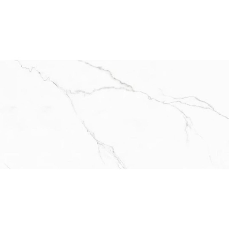 Maxxi Floors 24 x 48 Rectified Porcelain Polished Tile - Snowy Carrara