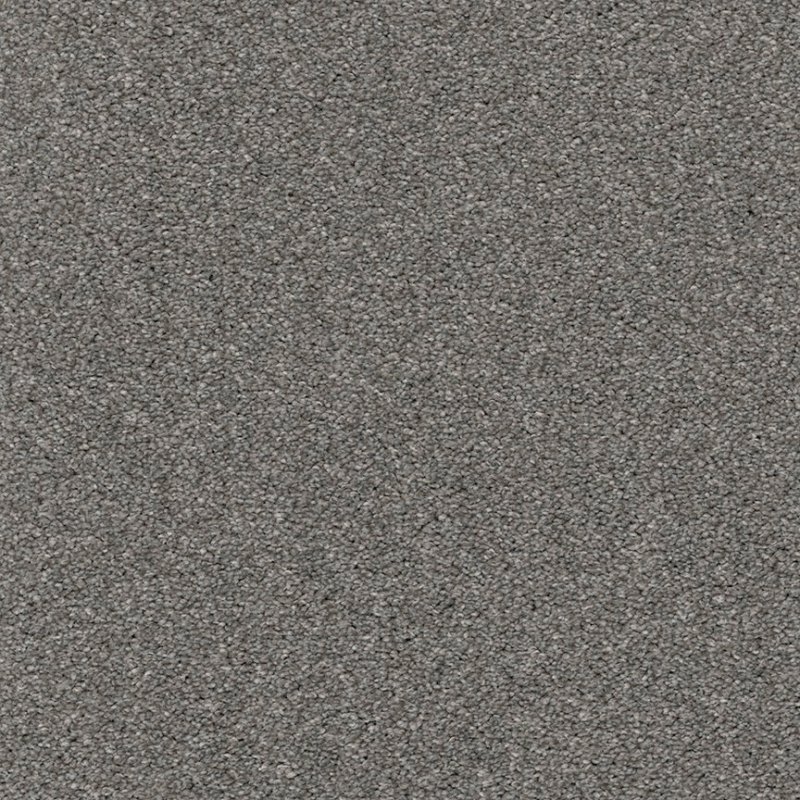 CHESAPEAKE Allure 100% Solution-Dyed Polyester Carpet - 12\'