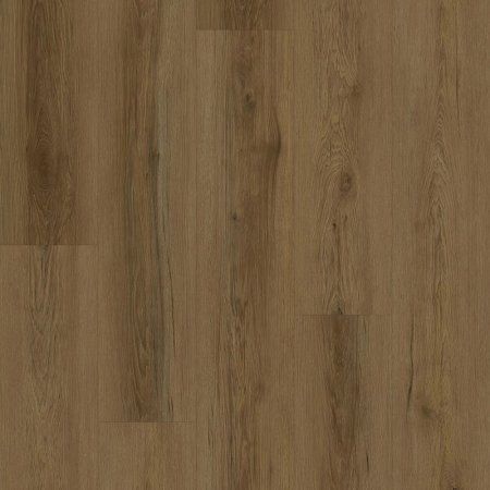 (image for) Parkay Floors XCC Force Plus+ 9-3/8" x 59-5/8" HDF Waterproof Plank - Autumn Bark XCC-PARFORAUT