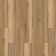 (image for) Parkay Floors XCC Force Plus+ 9-3/8" x 59-5/8" HDF Waterproof Plank - Forest Haze