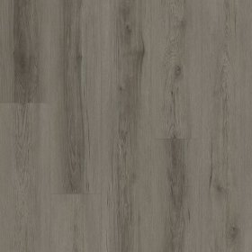 (image for) Parkay Floors XCC Force Plus+ 9-3/8" x 59-5/8" HDF Waterproof Plank - Late Horizon XCC-PARFORLAT