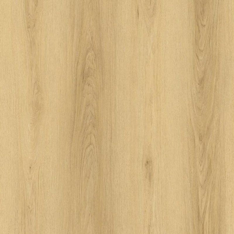 Parkay XDP Dryback Extreme 9-1/4\" x 60\" Waterproof Luxury Vinyl Plank DB - Blonde - XDP-PARDRYBLO 23001