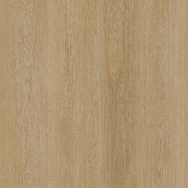(image for) Parkay XDP Dryback Extreme 9-1/4" x 60" Waterproof Luxury Vinyl Plank DB - Dawn XDP-PARDRYDAW 11503