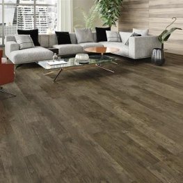 Inspirtations Laminate Collection - Grizzly