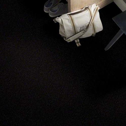 SFI Birds - 3902 Raven