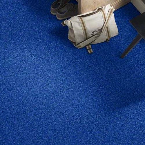 SFI Birds - 3903 Blue Jay