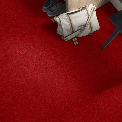 SFI Birds - 3904 Cardinal