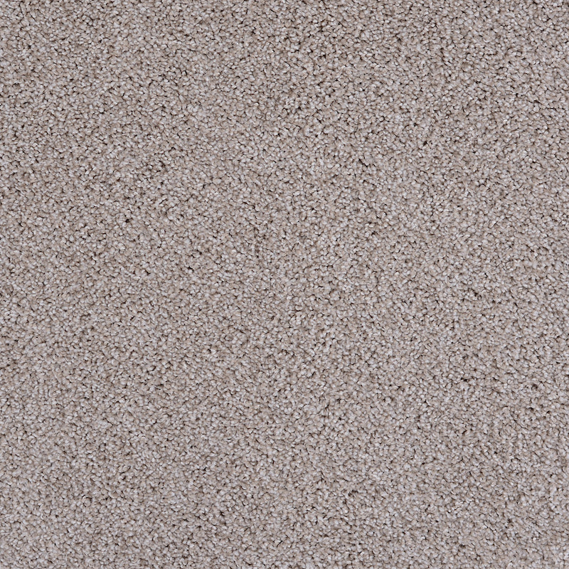 Horizon 100% Solution-Dyed Polyester Carpet - 12\'