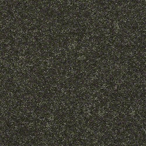 SFI Field Trip - 9627 Everglades