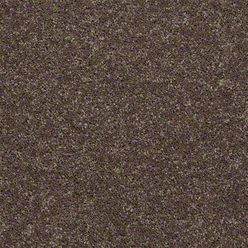 SFI Field Trip - 9628 Busch Gardens