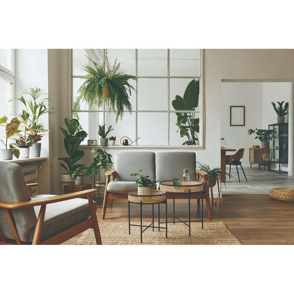 Heritage Essentials Collection