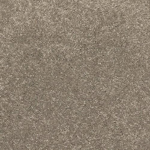 SFI Metropolis - 4481 Mosul-Iq