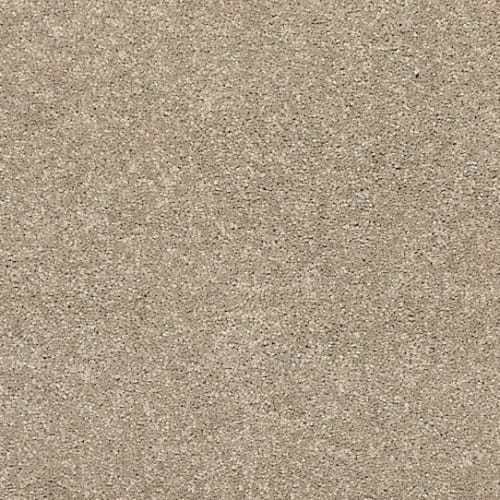 SFI Metropolis - 4484 Managua-Ni