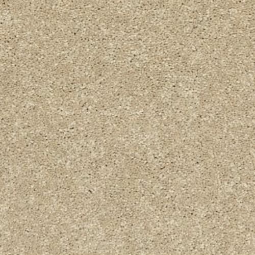 SFI Metropolis - 4494 Montenegro - Br