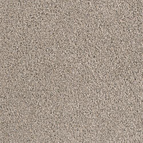 SFI Milestone II - 1738 First Kiss